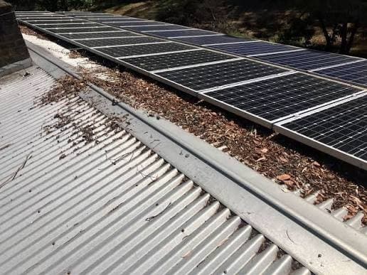 Dry leaf litter and bark banked up along the roof sheet underneath a rooftop solar array