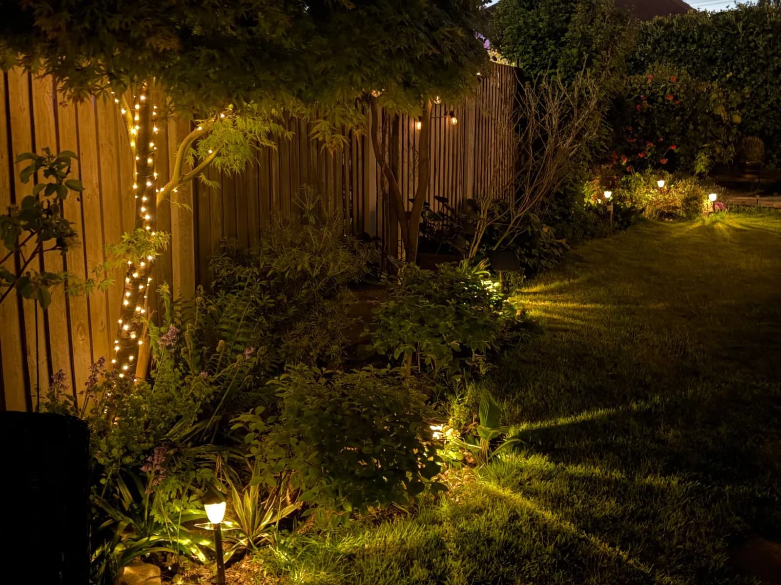 Backyard garden at dusk lit by low spike lights and string lights along a timber fence